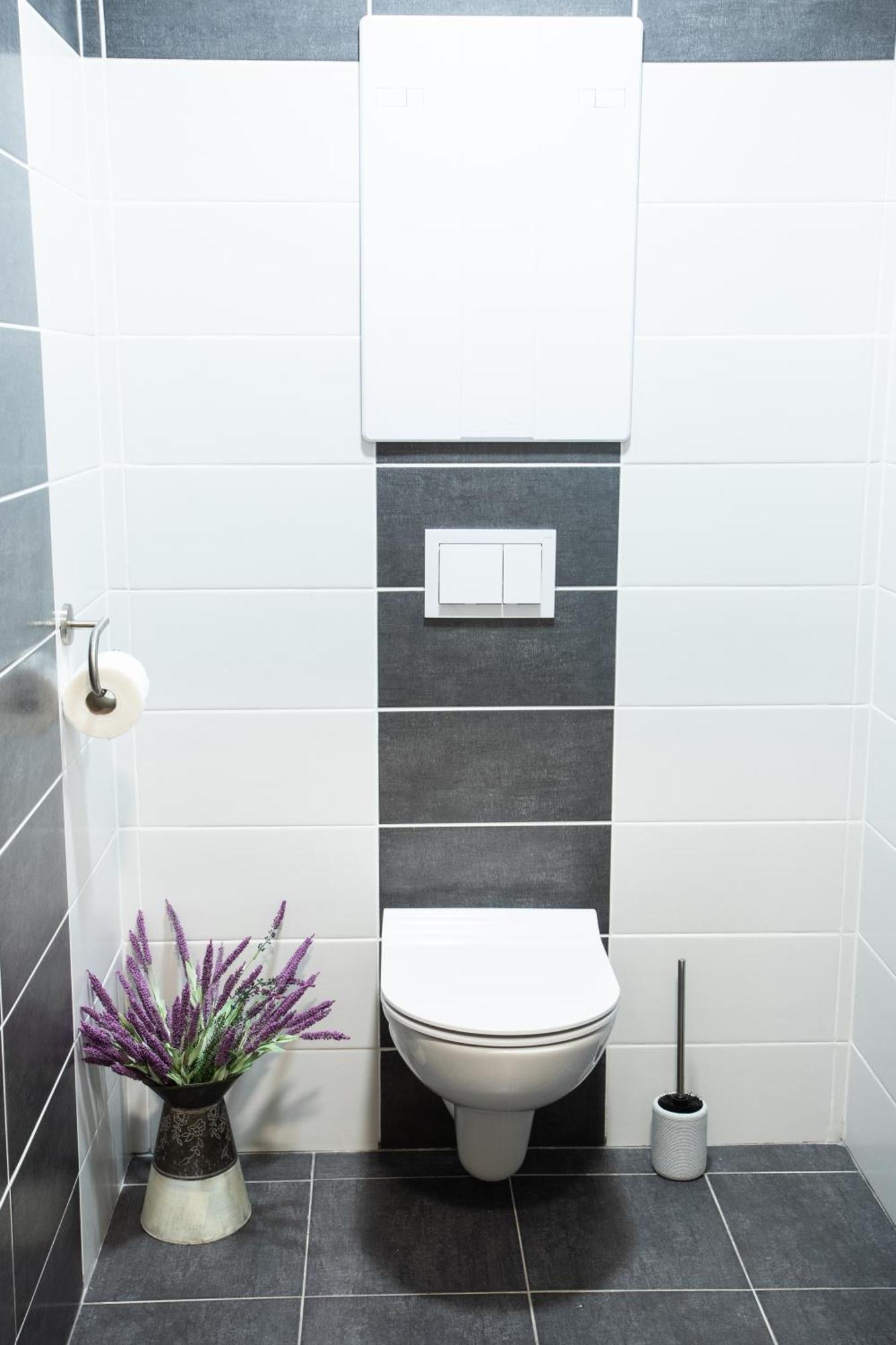 Zim-Let Lipno Apartment Фримбурк Екстериор снимка